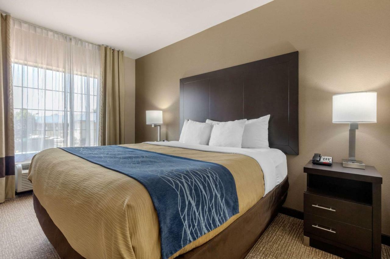 Comfort Inn & Suites North Little Rock Mccain Mall Eksteriør billede